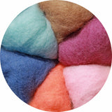 Mixed Pastel [Mountain Sheep Carded Batt]