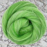 Dolomites Green [Merino/Alpaca - Combed Top]