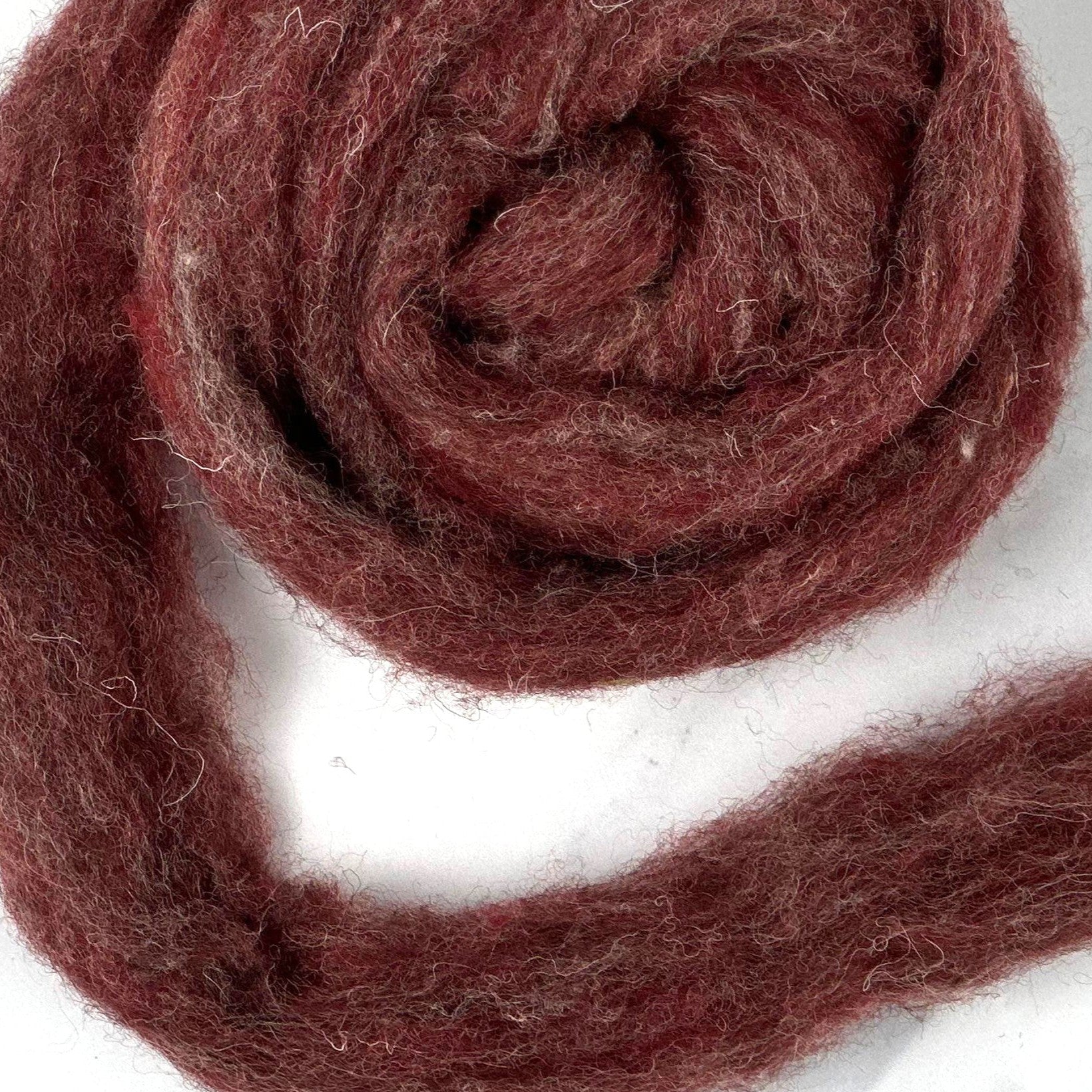 Tutor Red [Kent Romney / Jacob - Carded Sliver]