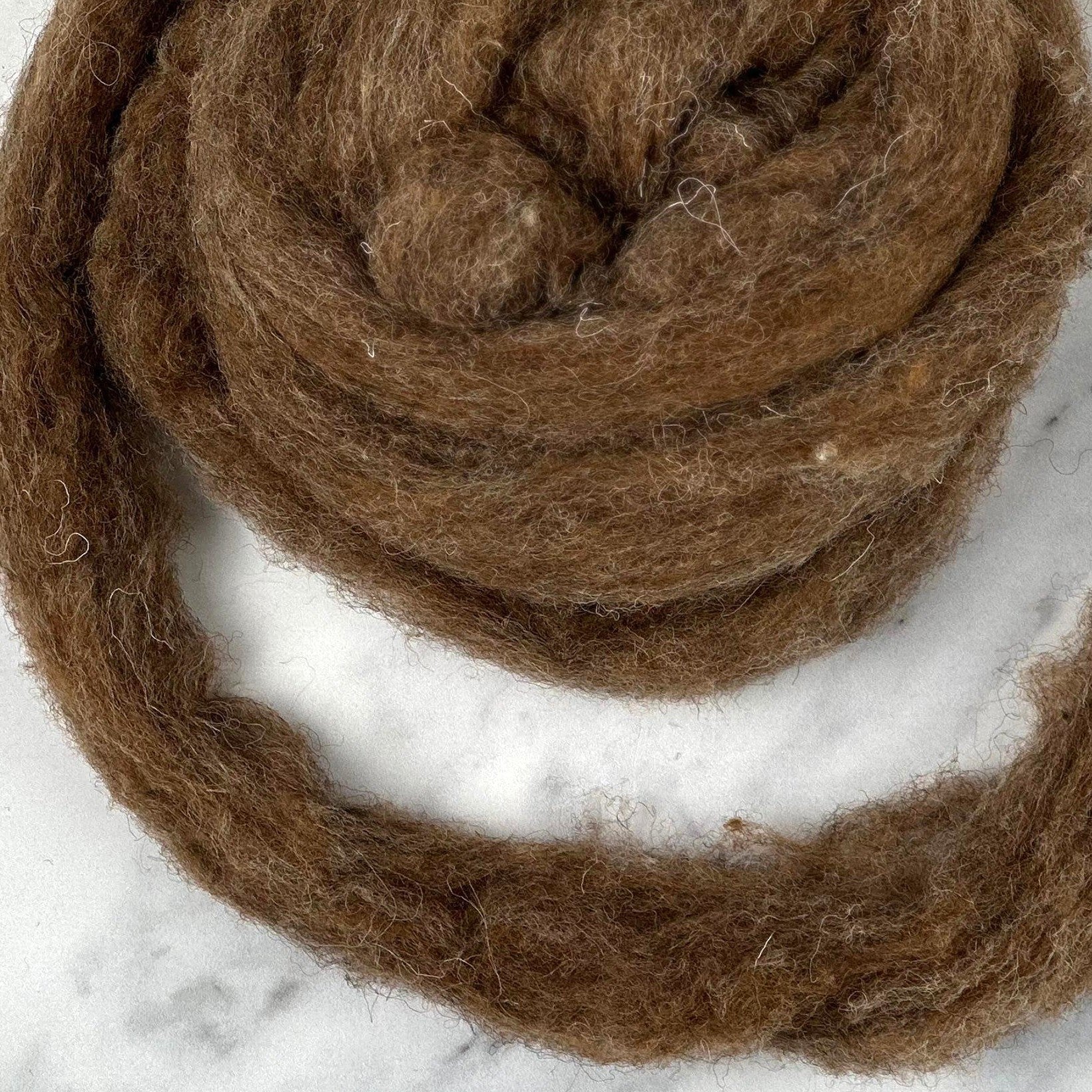 Parchment Brown [Kent Romney / Jacob - Carded Sliver]