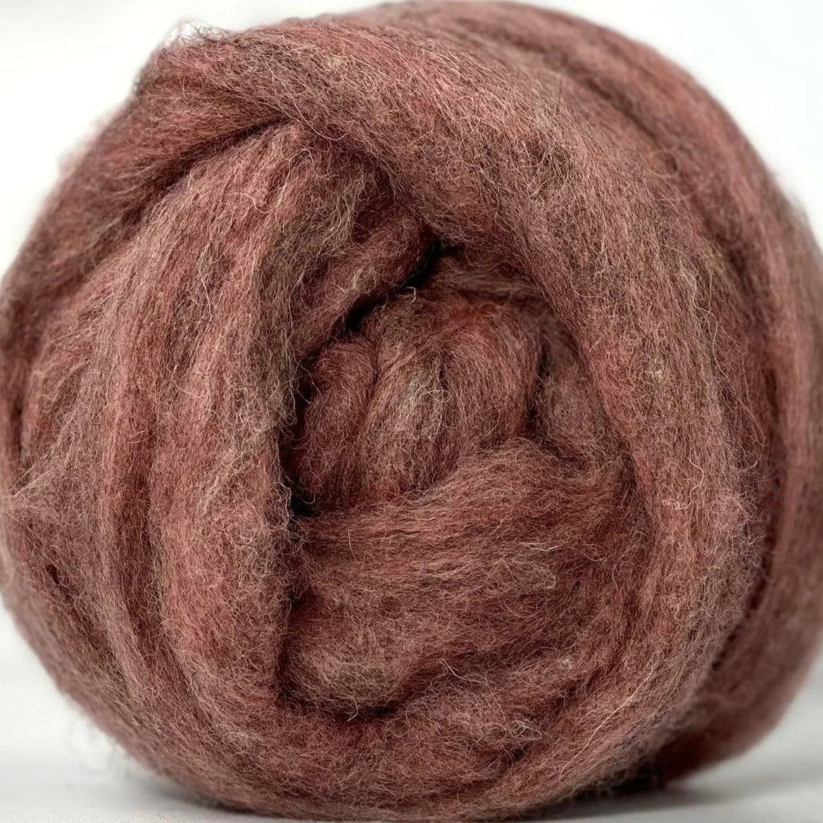 English Rose [Kent Romney / Jacob - Carded Sliver]