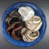 Designer Pack - 1. Earthy [Lyocell - Combed Sliver]