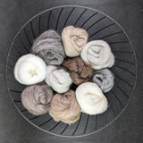 Fibre Bundle - Variety Pack [Unknown Wool Blend - Combed Top]