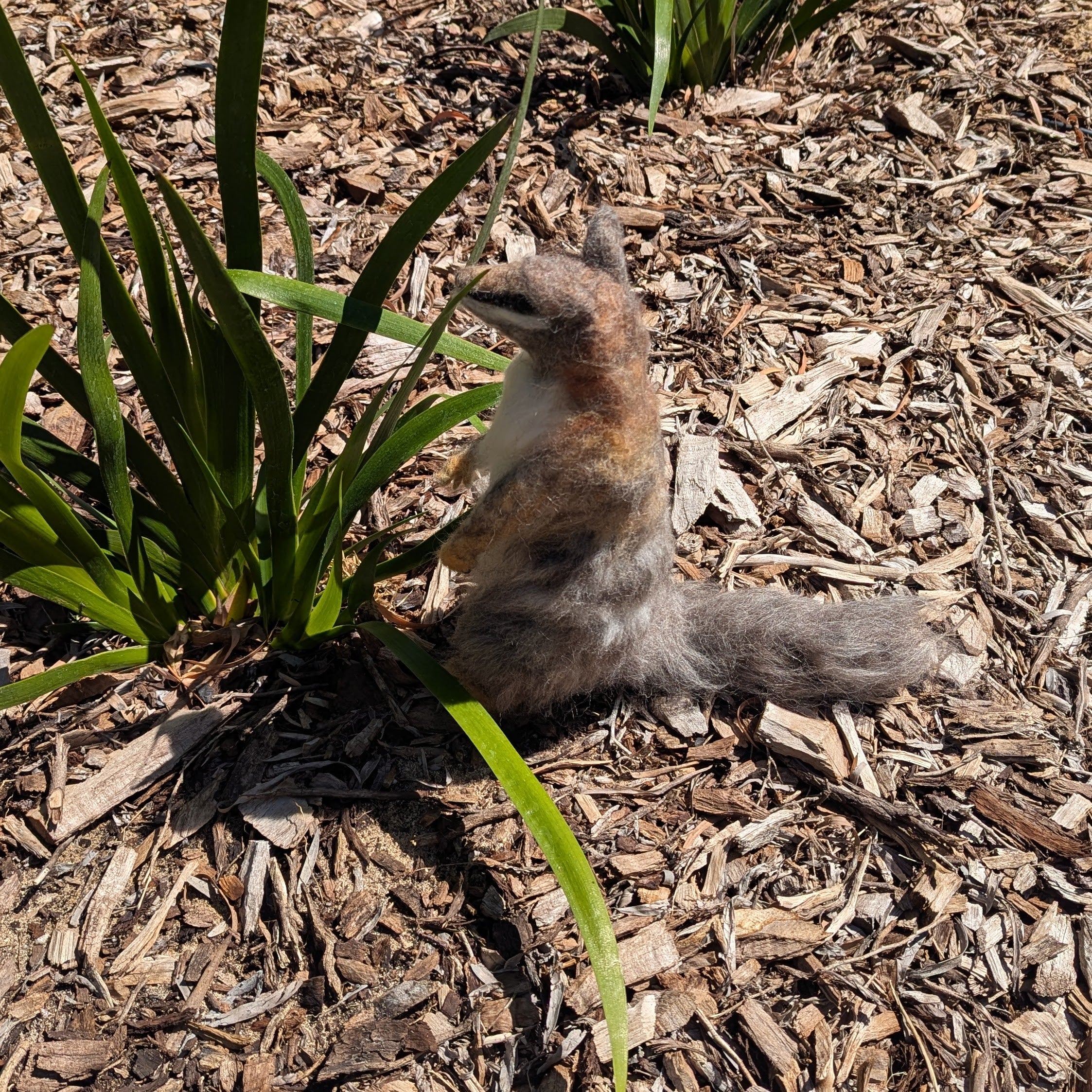 Numbat Workshop (February 7 & 8)