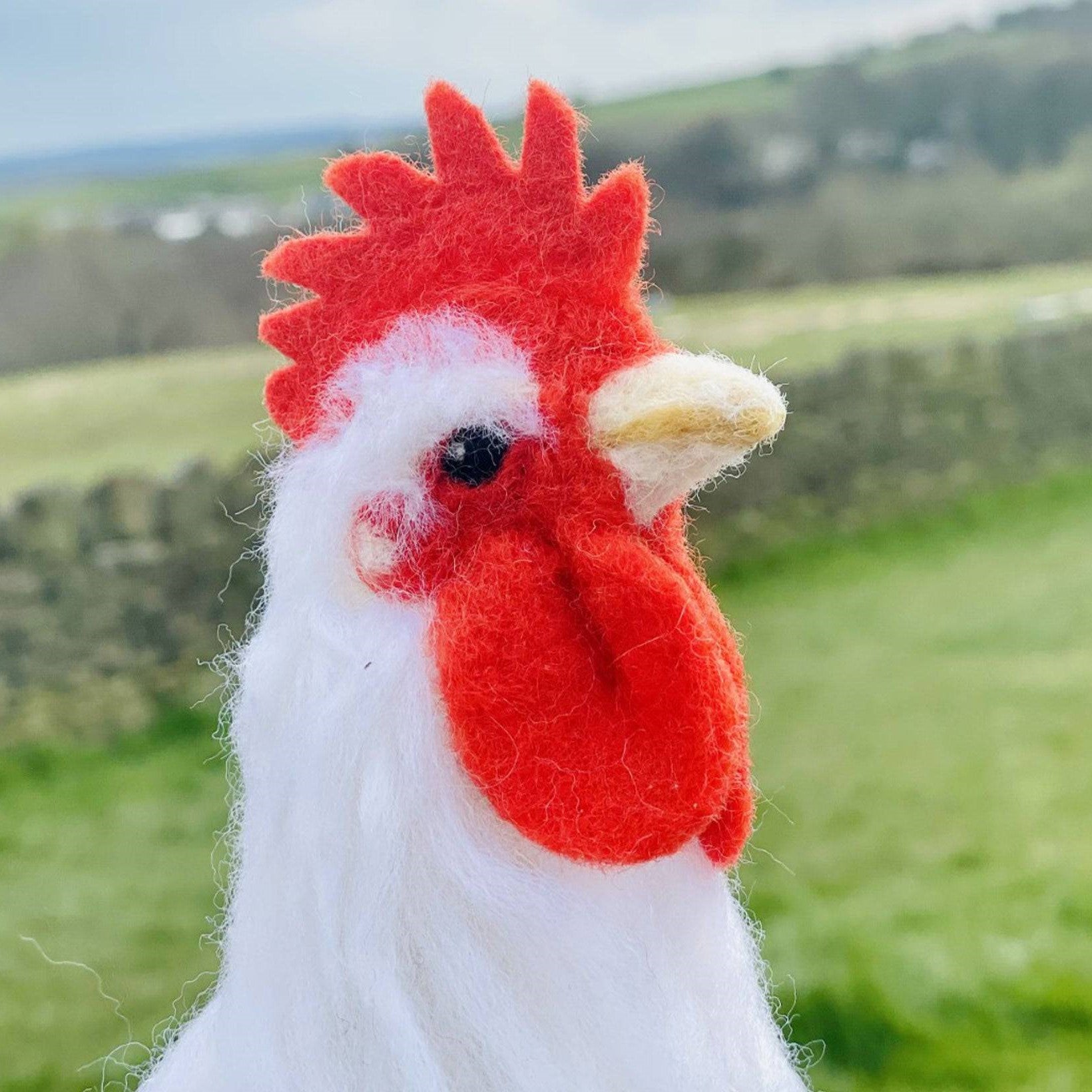 Reggie the Rooster [Needle Felting  Kit]