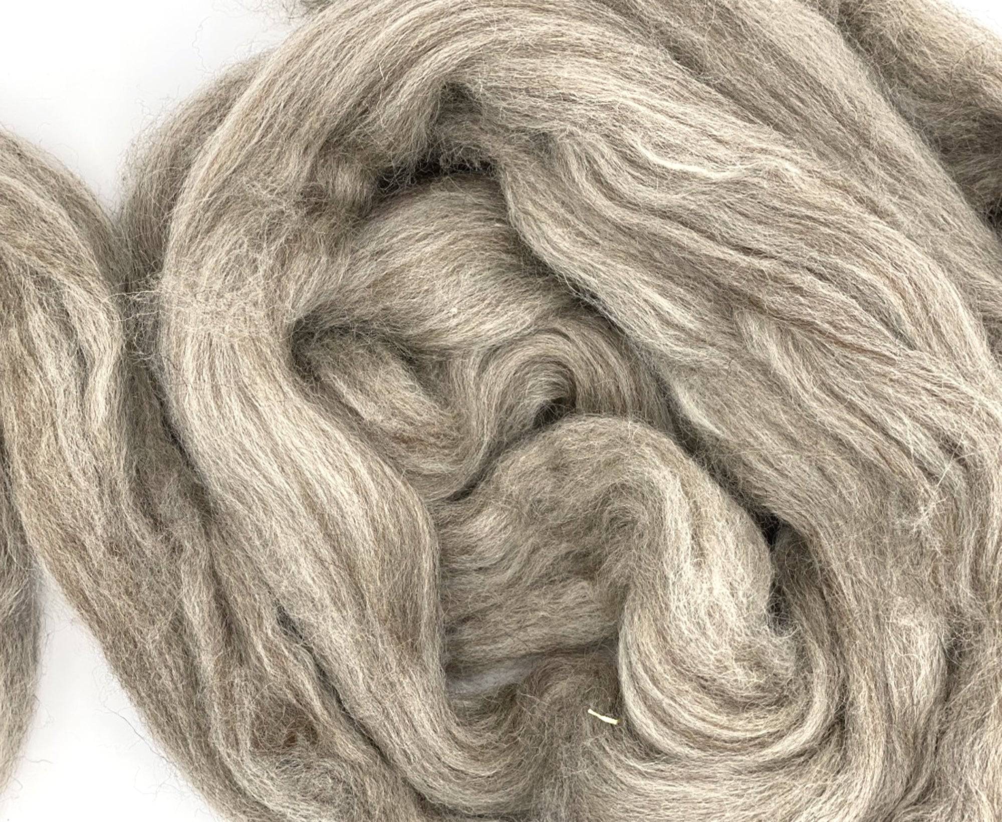 Oatmeal [Blue Faced Leicester - Combed Top]