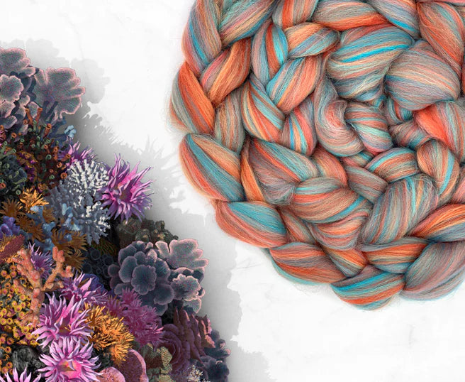 Coral Reef [Merino - 23 Microns - Combed Top]