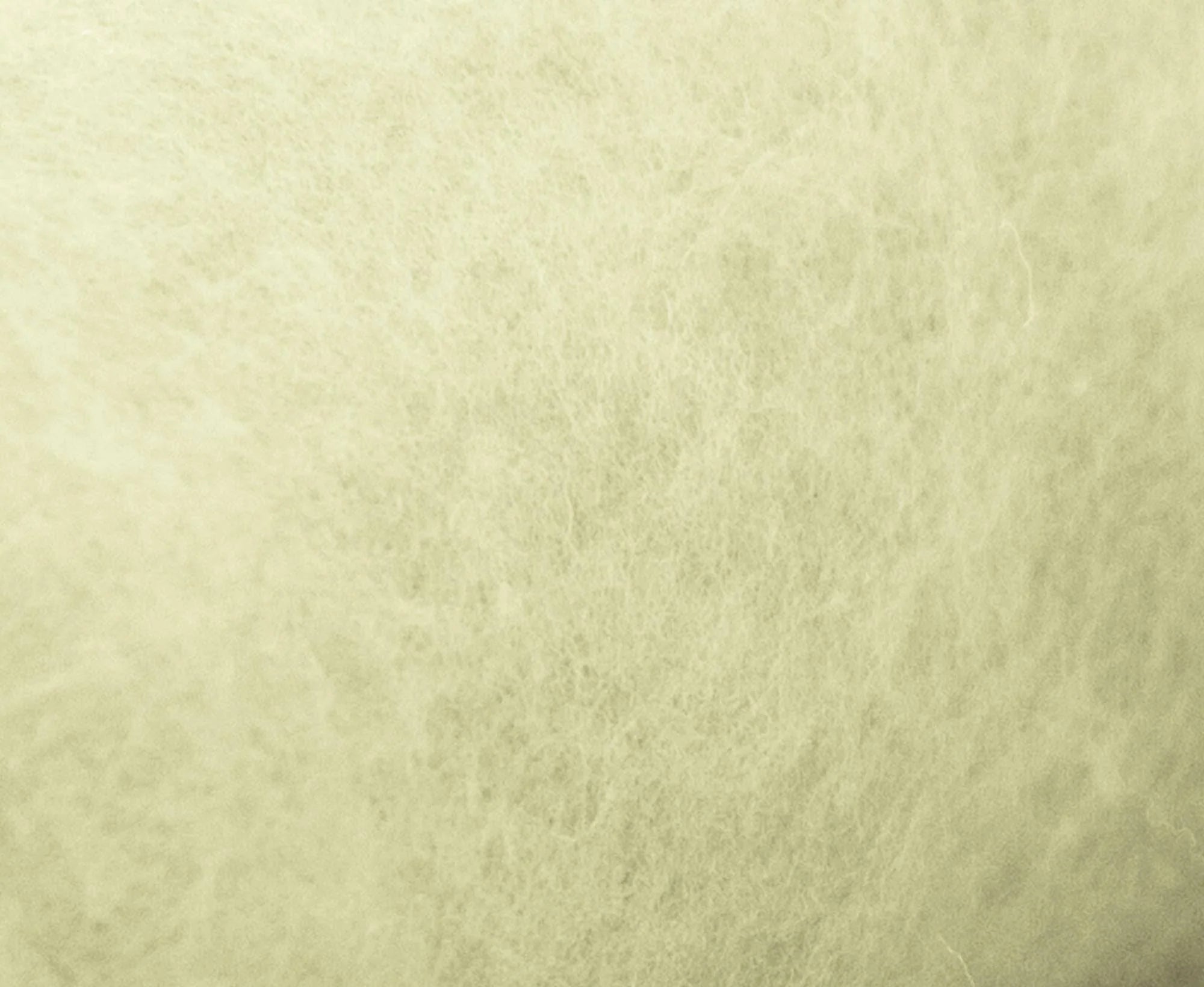Natural White [Merino- 23 Microns - Carded Batt]